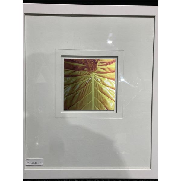 Leaf Glossy Print on Canvas 23 X 27