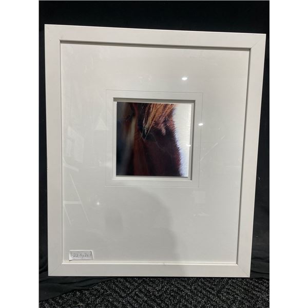 Horse Eye wei wong Glossy Print on Canvas  23 X 27