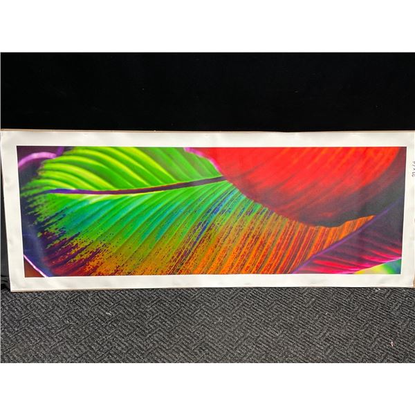 Leaf Print on Canvas 22 X 64