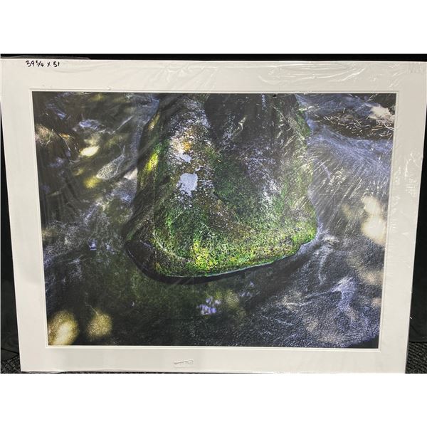 Rock in Stream Photograph on Canvas 40 X 51