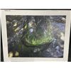 Image 1 : Rock in Stream Photograph on Canvas 40 X 51
