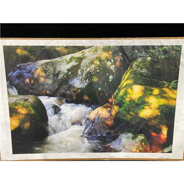 Mossy Stream Photograph on Canvas 48 X 32