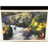 Image 1 : Mossy Stream Photograph on Canvas 48 X 32