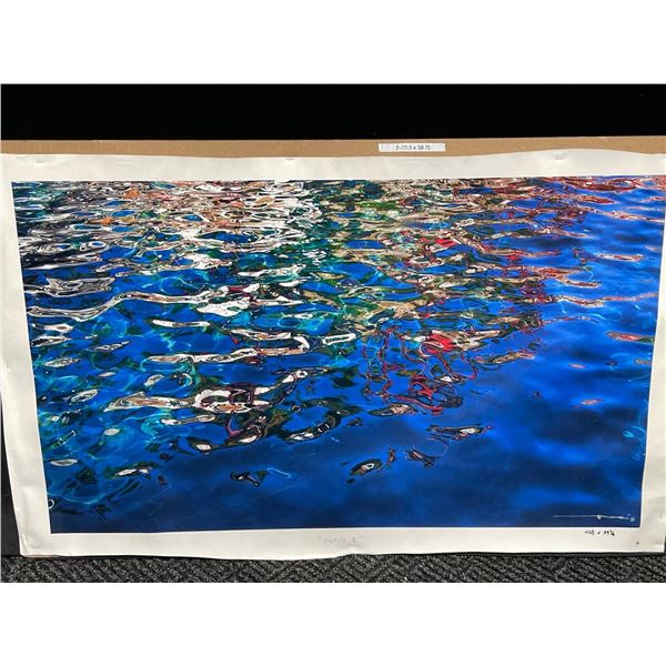 Entity 2 Photograph on Canvas 23 X 40