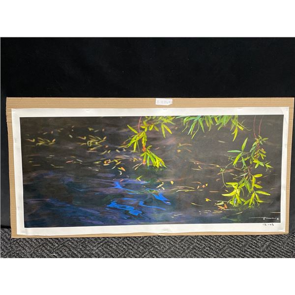 Leaf in Water Photograph 18 X 42