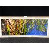 Image 1 : Water Grass Photograph on Canvas 15 X 40