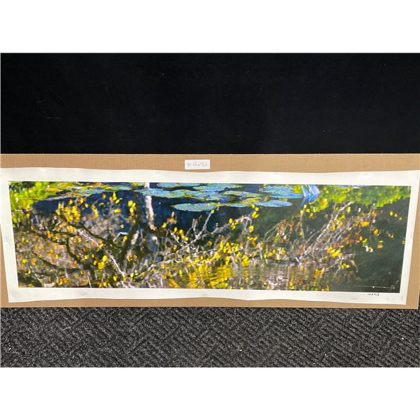 Lilypad Photograph on Canvas 12 X 42