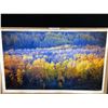 Image 1 : Autumn Trees Photograph on Canvas 42 X 26