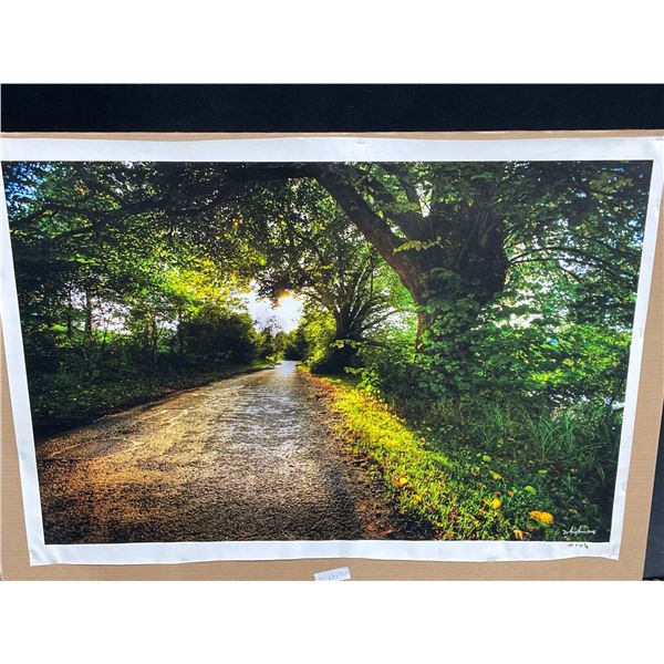 Trail Through Nature Photograph on Canvas 28 X 42