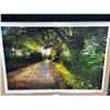 Image 1 : Trail Through Nature Photograph on Canvas 28 X 42