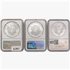 Image 2 : [3] 1993 Silver Eagle NGC MS69