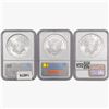 Image 2 : [3] American SILV Eagles NGC MS69 [1990, 1999, 200
