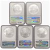Image 2 : [5] American SILV Eagles NGC MS69 [[2] 2000, [3] 2