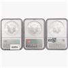 Image 2 : [3] American Silver Eagles NGC MS69 [2001, 2002, 2