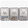Image 2 : [3] American Silver Eagles NGC MS69 [2007, 2008, 2