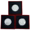 Image 1 : 1921 Morgan Dollar P,D,S Set [3 Coins]