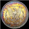 Image 2 : 1896 Morgan Silver Dollar CLOSELY UNCIRCULATED