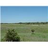 Image 2 : Tract #1: Elson Family Land Auction