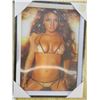 Image 2 : 2 lenticular pictures in frames