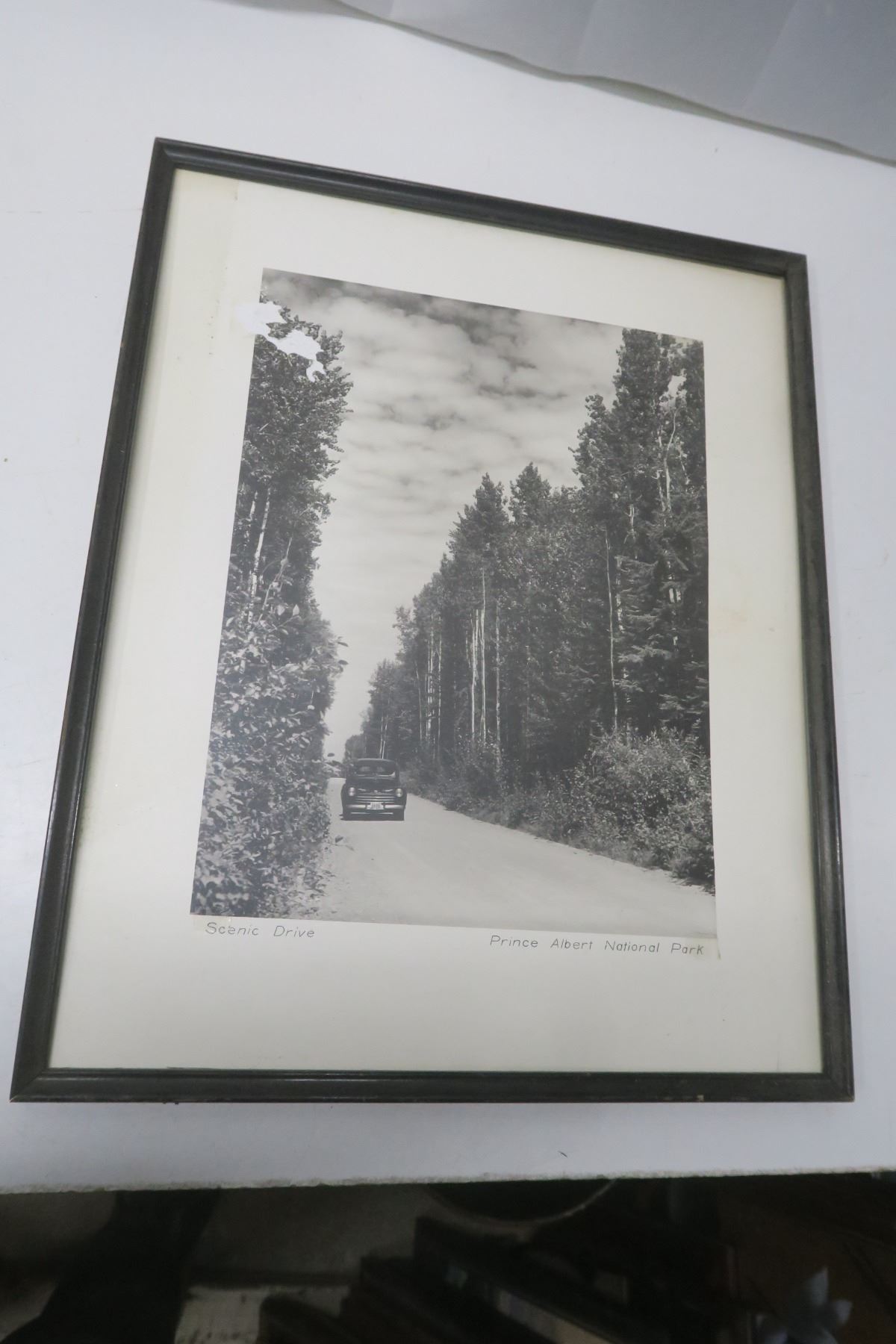 scenic drive Prince Albert National Park picture in frame Schmalz