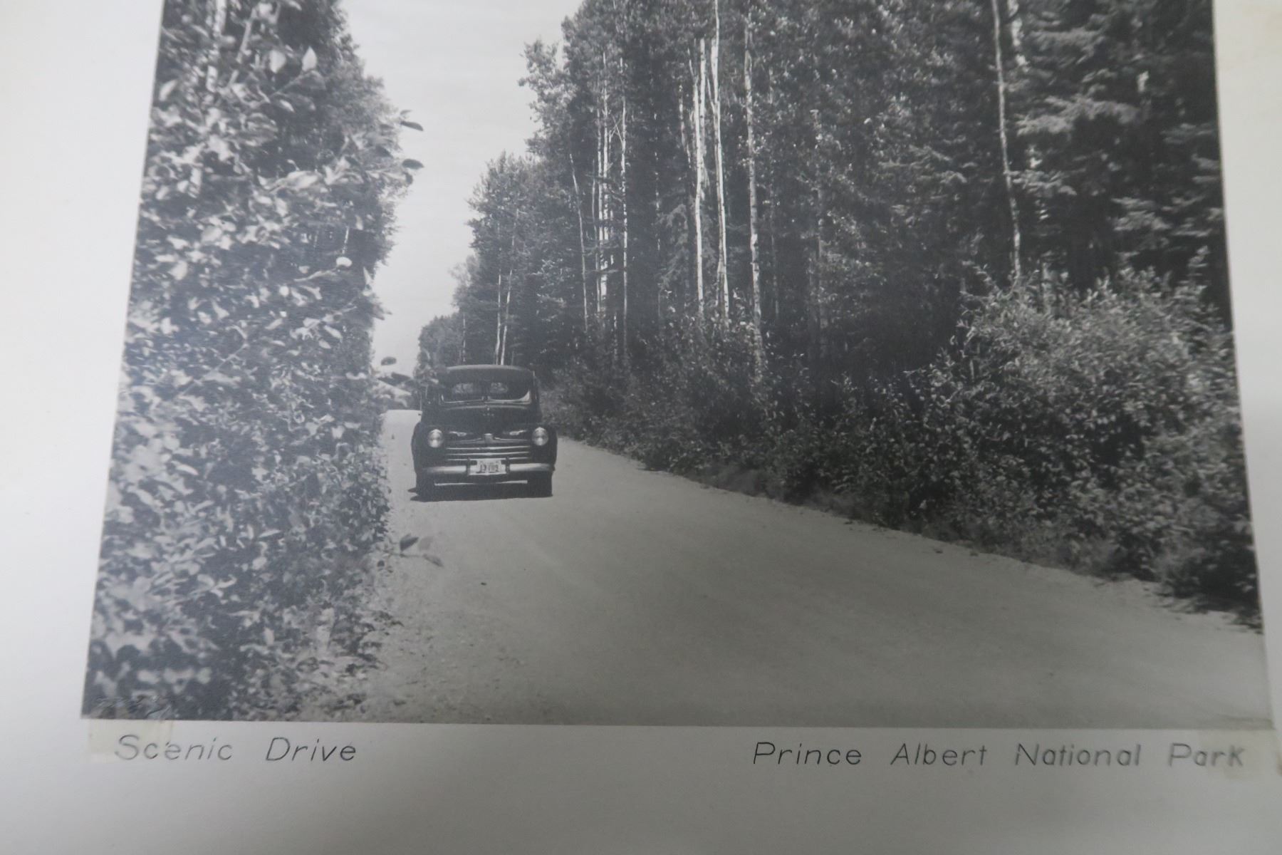 scenic drive Prince Albert National Park picture in frame