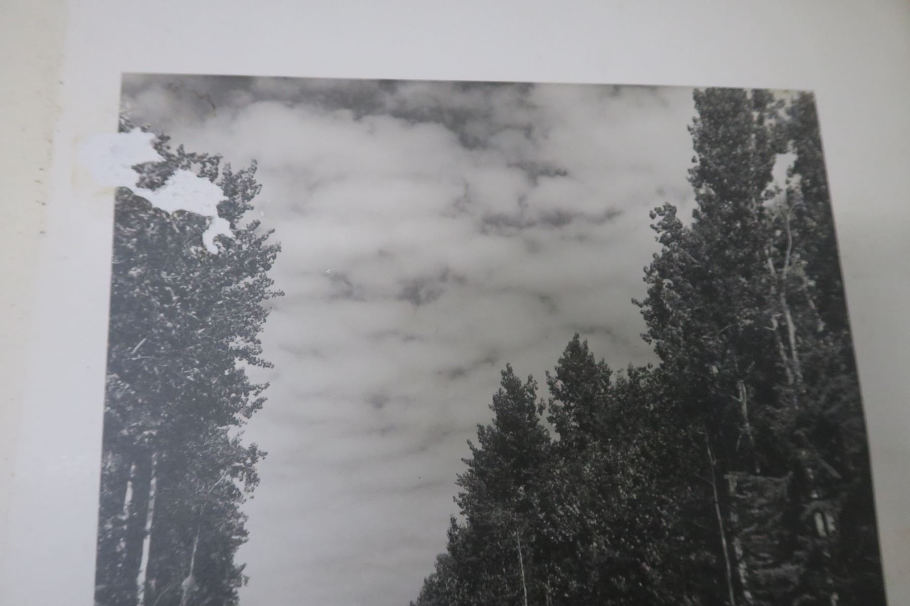 scenic drive Prince Albert National Park picture in frame