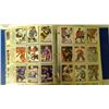 Image 15 : Hockey cards in binder