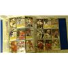 Image 46 : Hockey cards in binder