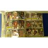 Image 50 : Hockey cards in binder