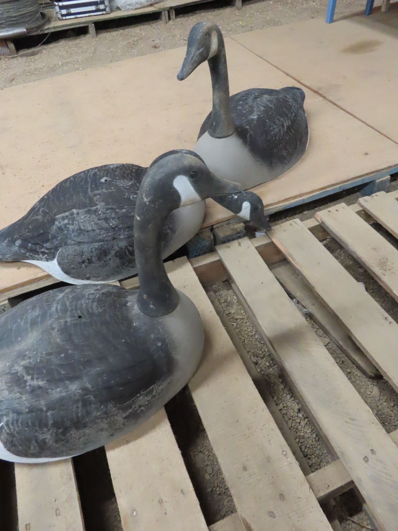 1 dozen full bodied goose decoys Schmalz Auctions