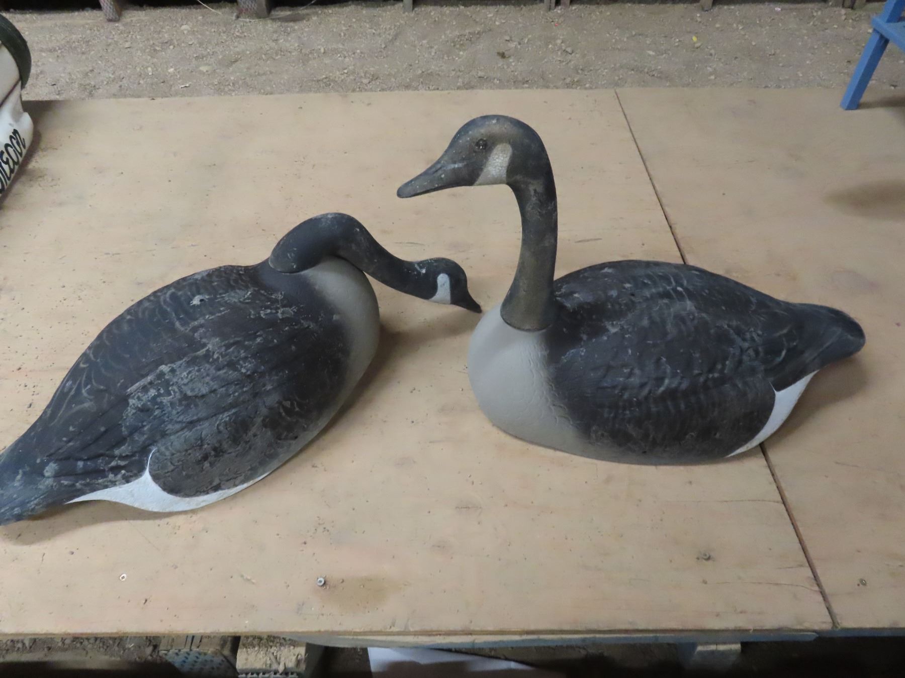 1 dozen full bodied goose decoys Schmalz Auctions