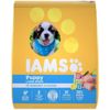 Image 1 : IAMS PROACTIVE HEALTH PUPPY LARGE BREED W/ CHICKEN 13.9KG