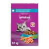 Image 1 : WHISKAS SEAFOOD SELECTION 9.1KG