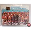 Image 2 : 1975 Topps Chewing Gum - Team Leaders - Checklist: Boston Bruins, Chicago Black Hawks, & Kansas City