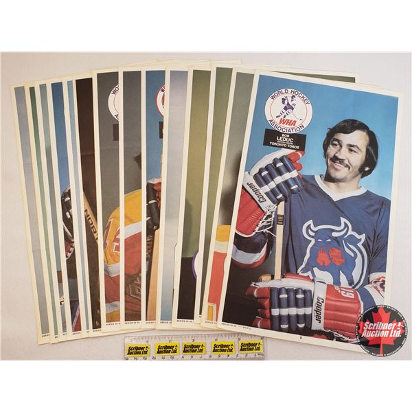 1973-74 O Pee Chee - WHA Posters (16): Al Smith, J.C. Tremblay, Guy Dufour, Pat Stapleton, Rosaire P