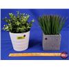 Image 1 : HOME DÉCOR : Fake Potted Plants (2) (5"H) (SEE PICS!)