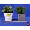 Image 2 : HOME DÉCOR : Fake Potted Plants (2) (5"H) (SEE PICS!)