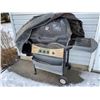 Image 2 : Bench & Barbeque