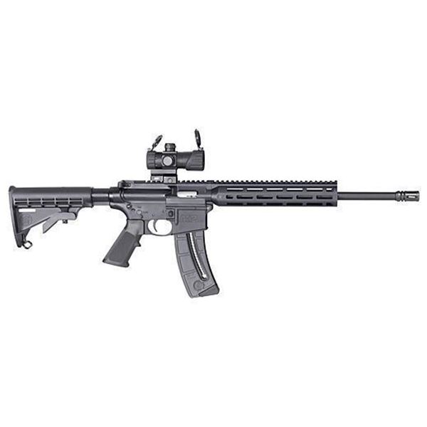 S&W M&P15-22 SPORT OR .22LR 16.5" MP100 RED/GRN DOT 25-RD