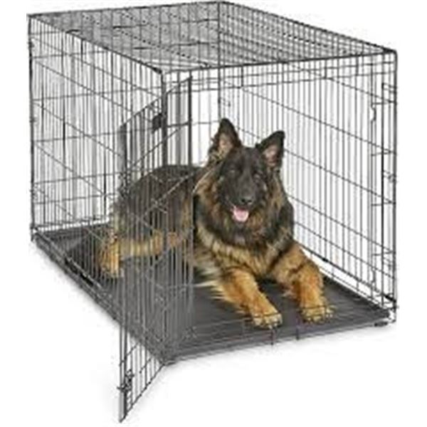 folding dog crate