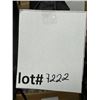 Image 3 : led video light