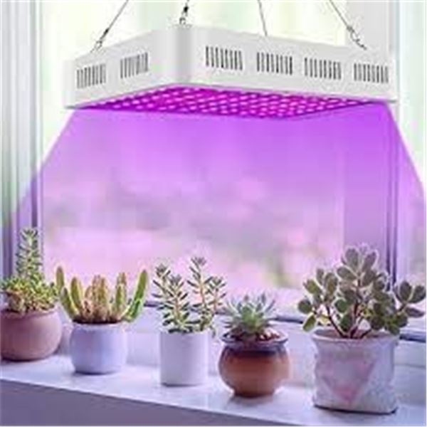 LED grow light