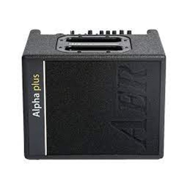 acustic guitar AER