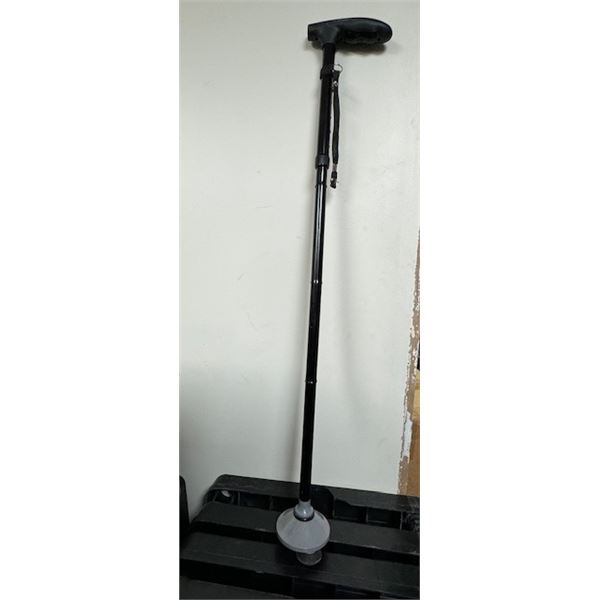 walking stick