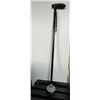 Image 1 : walking stick