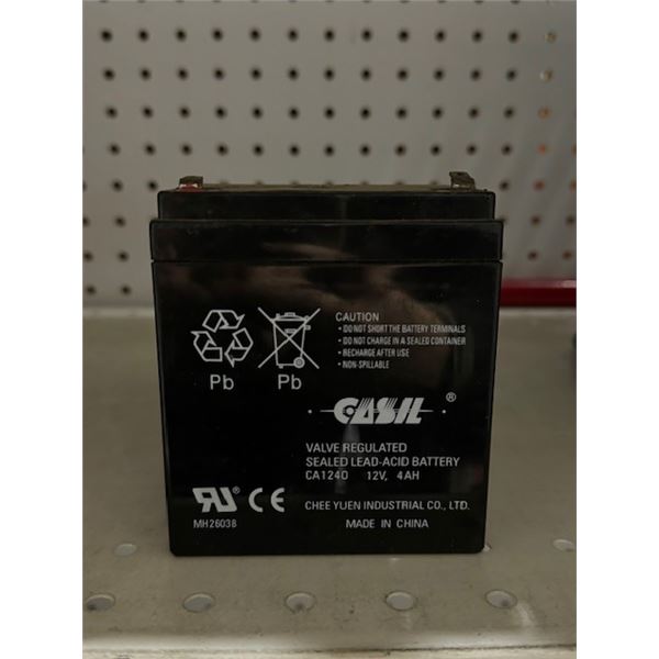 casil batterie