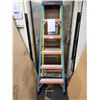 Image 1 : echelle Featherlite 5 marche