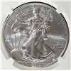 Image 2 : 2013-W BURNISHED AMERICAN SILVER EAGLE NGC MS70