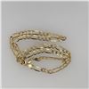 Image 1 : 14K Yellow Gold Chain