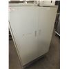 Image 1 : 2 Door Metal Storage Cabinet